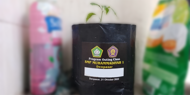 Budidaya tanaman polybag organik dan pembuatan eco enzim SMP MUHAMMADIYAH 1 DENPASAR